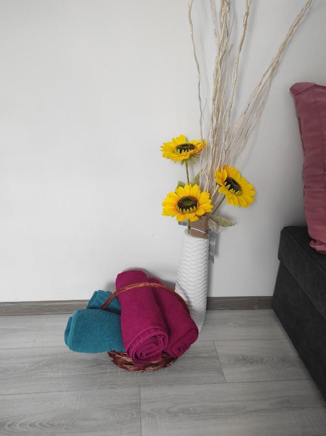 Iglika 2 Snowy Night V 31 Apartment Borovets Ngoại thất bức ảnh