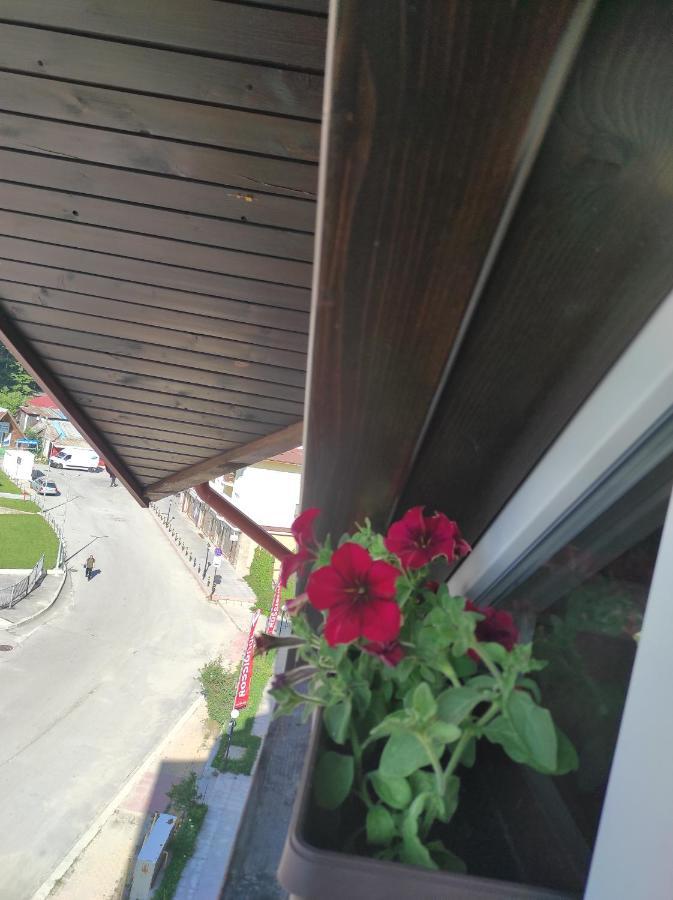 Iglika 2 Snowy Night V 31 Apartment Borovets Ngoại thất bức ảnh